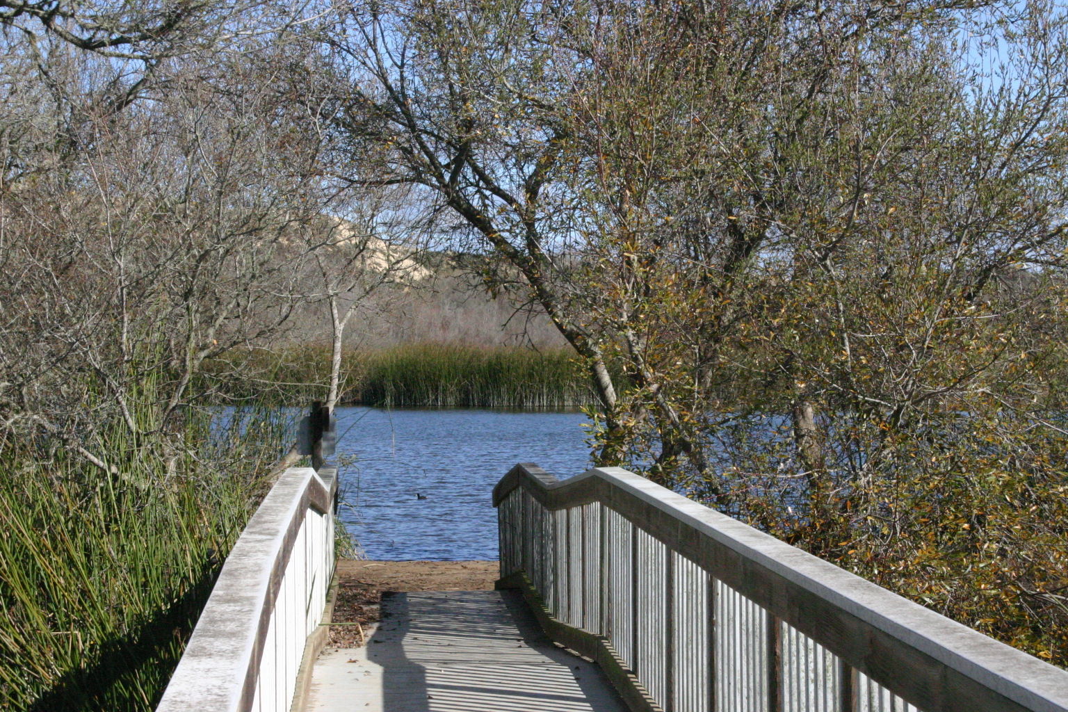 Oso Flaco Boardwalk